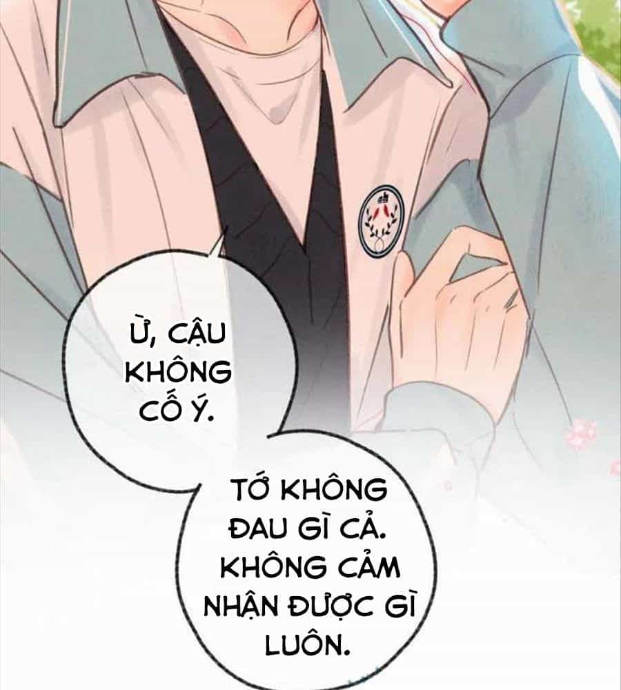 Trong Giấc Mộng Của Tôi - Chương 33 - ảnh 51
