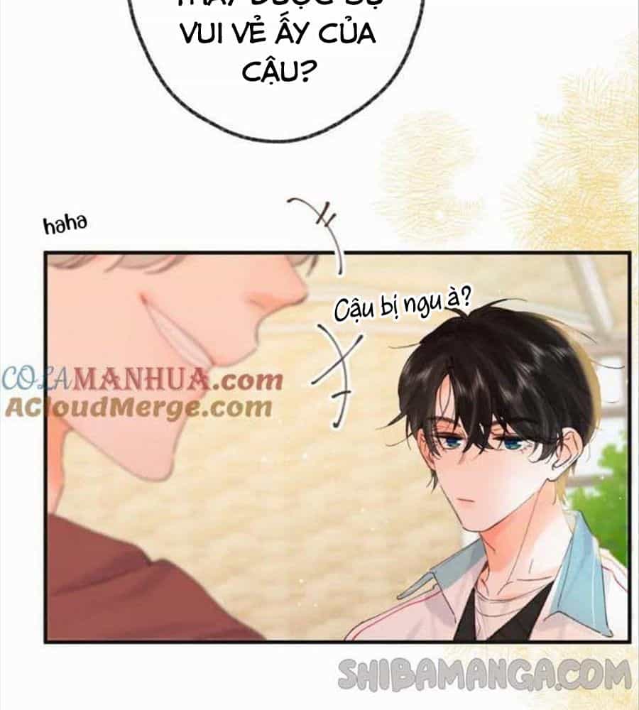 Trong Giấc Mộng Của Tôi - Chương 33 - ảnh 6