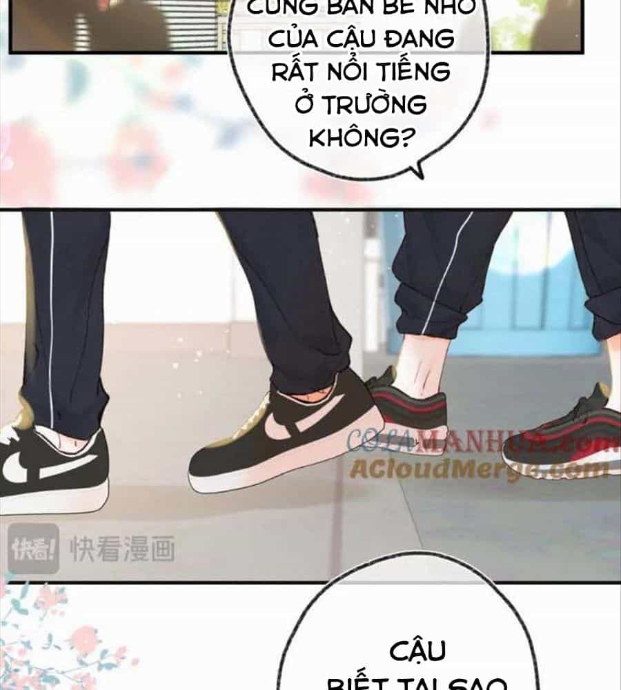 Trong Giấc Mộng Của Tôi - Chương 33 - ảnh 8
