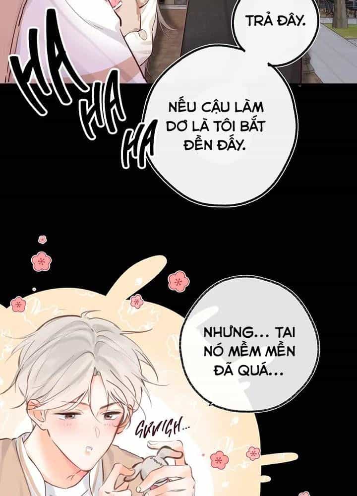 Trong Giấc Mộng Của Tôi - Chương 56 - ảnh 25