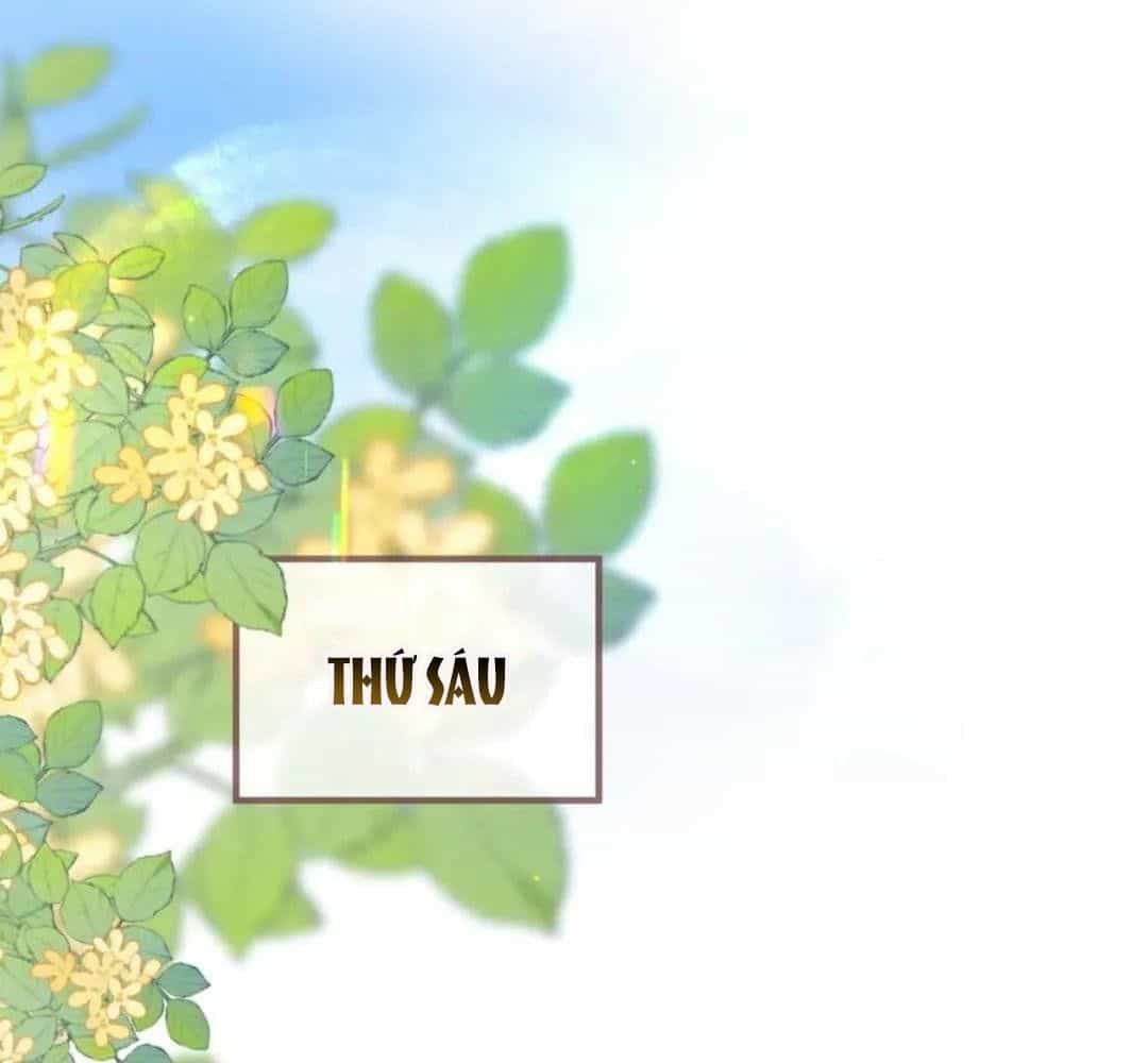 Trong Giấc Mộng Của Tôi - Chương 81 - ảnh 66