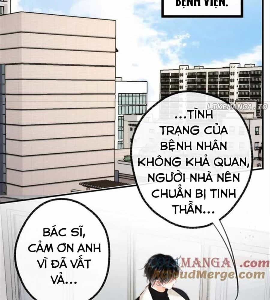 Trong Giấc Mộng Của Tôi - Chương 87 - ảnh 39