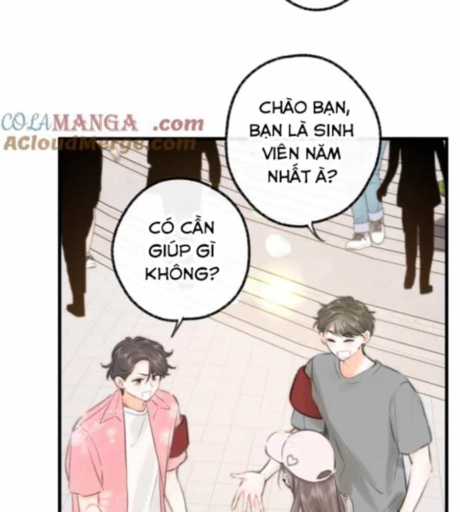 Trong Giấc Mộng Của Tôi - Chương 91 - ảnh 28