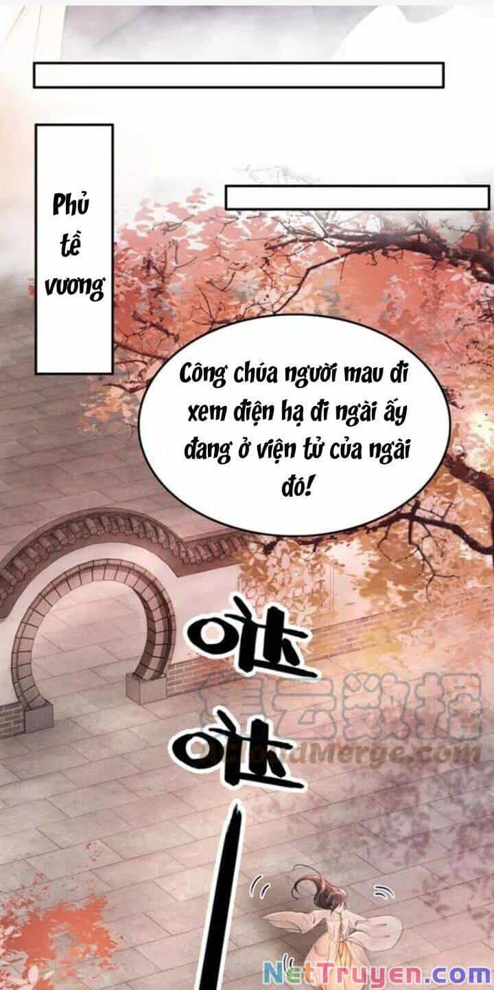 Trọng Sinh Bá Sủng Nhiếp Chính Vương Quá Mạnh Mẽ - Chương 67 - ảnh 42