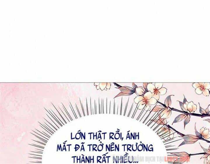 Trọng Sinh Bá Sủng Nhiếp Chính Vương Quá Mạnh Mẽ - Chương 94 - ảnh 6