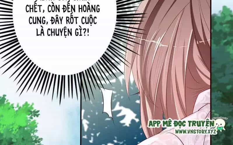 Trọng Sinh Đế Phi: Quyền Khuynh Thiên Hạ - Chương 2 - ảnh 20