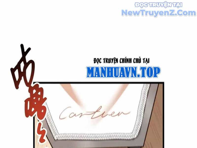 Trọng Sinh Không Làm Chạn Vương, Tôi Một Mình Nạp Game Thăng Cấp - Chương 226 - ảnh 50