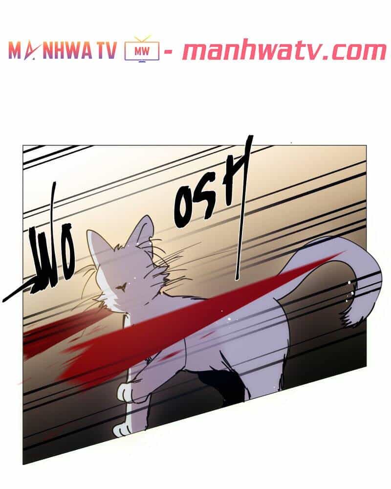 Trọng Sinh Mạc Thế - Chương 104 - ảnh 37