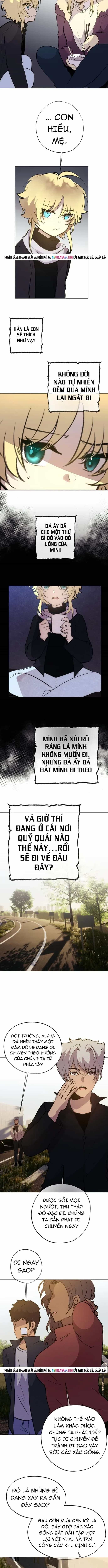 Trọng Sinh Mạc Thế - Chương 163 - ảnh 5