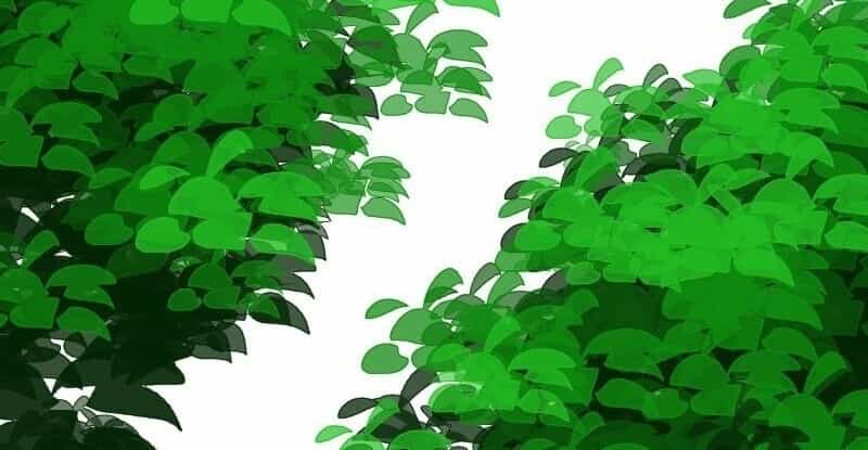 Trọng Sinh Mạc Thế - Chương 90 - ảnh 71
