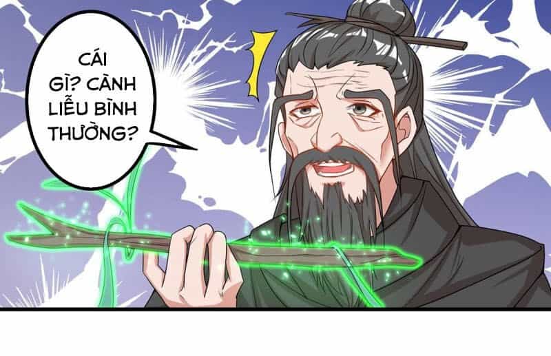 Trọng Sinh Sau Tám Vạn Năm - Chương 167 - ảnh 2