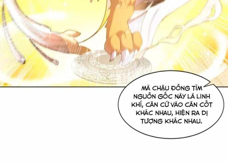 Trọng Sinh Thành Cậu Vàng Tại Dị Thế - Chương 15 - ảnh 36