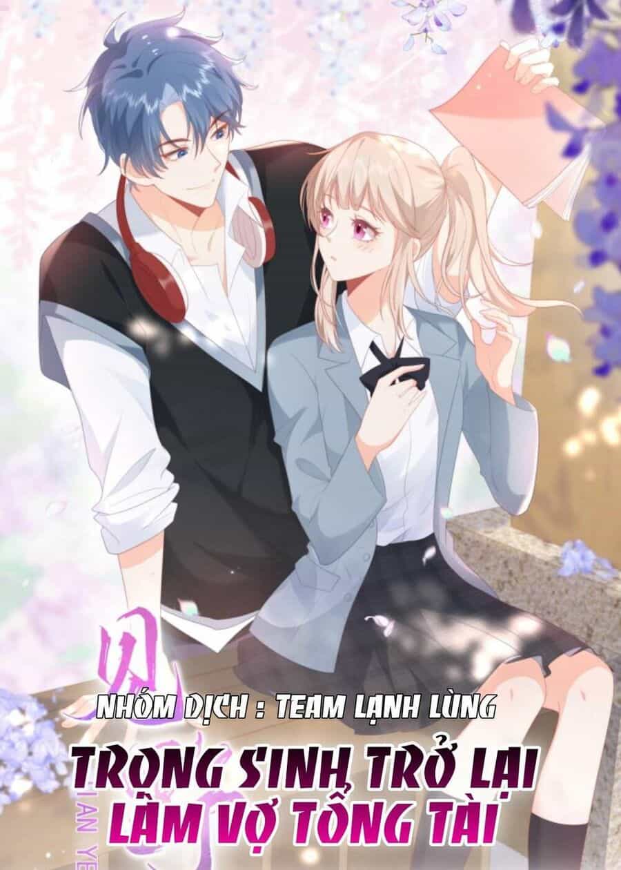 Trọng Sinh Trở Lại Làm Vợ Tổng Tài - Chương 2 - ảnh 3