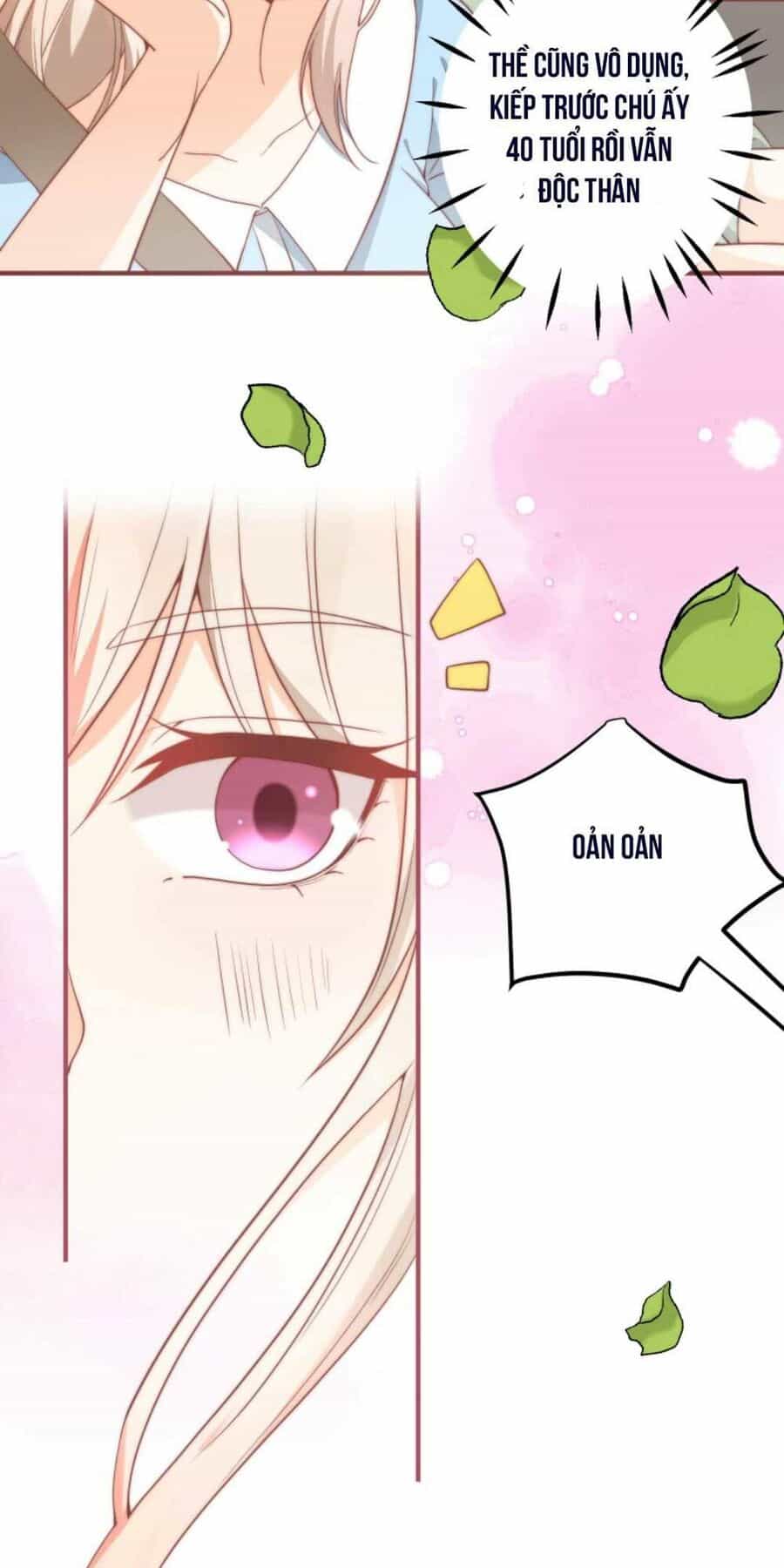 Trọng Sinh Trở Lại Làm Vợ Tổng Tài - Chương 5 - ảnh 6