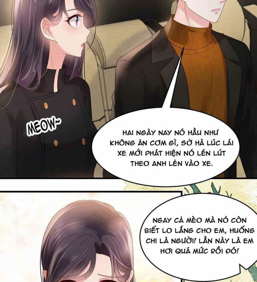 Trọng Sinh Trở Lại: Sủng Nịch Độc Nhất Vô Nhị - Chương 116 - ảnh 13