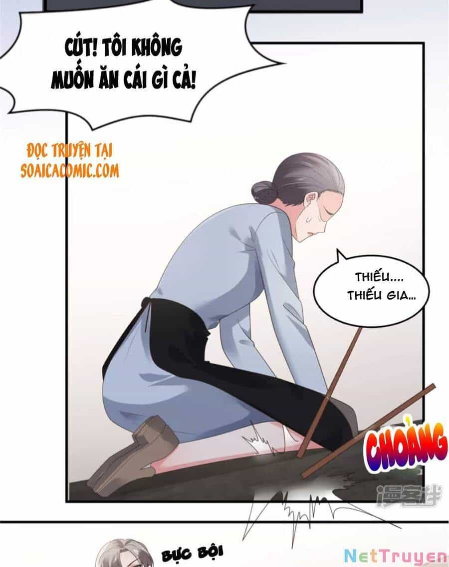 Trọng Sinh Trở Lại: Sủng Nịch Độc Nhất Vô Nhị - Chương 143 - ảnh 9