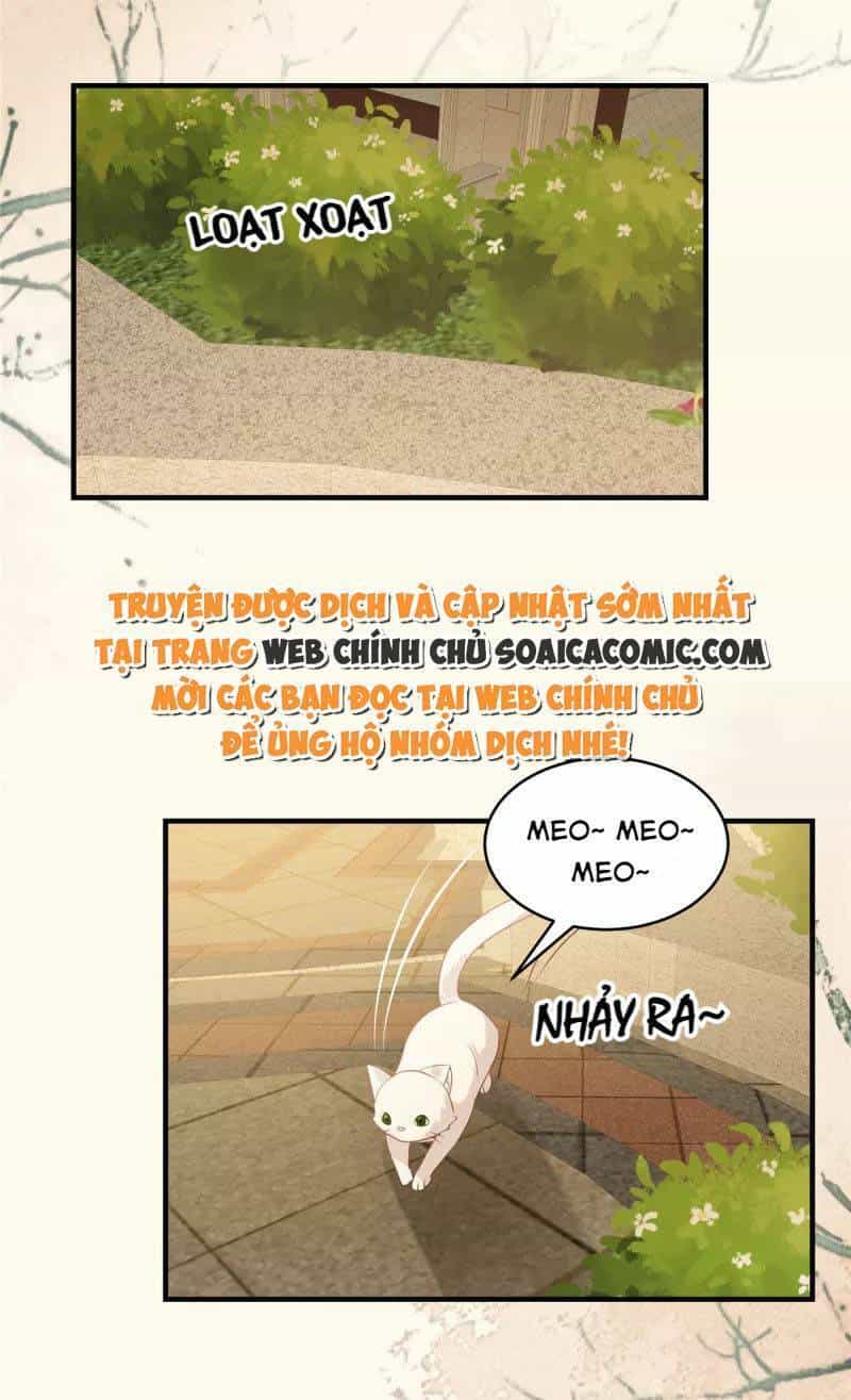 Trọng Sinh Trở Lại: Sủng Nịch Độc Nhất Vô Nhị - Chương 226 - ảnh 17