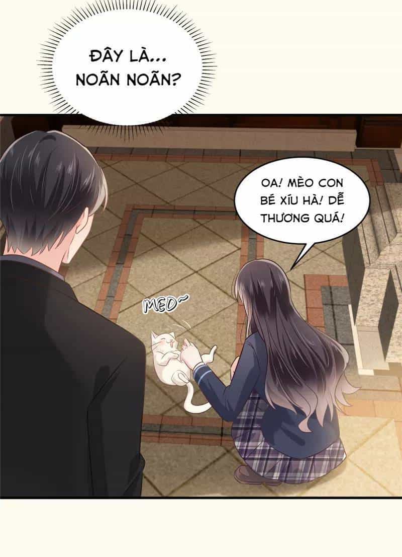 Trọng Sinh Trở Lại: Sủng Nịch Độc Nhất Vô Nhị - Chương 226 - ảnh 19