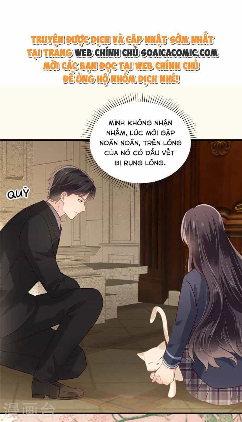 Trọng Sinh Trở Lại: Sủng Nịch Độc Nhất Vô Nhị - Chương 226 - ảnh 20