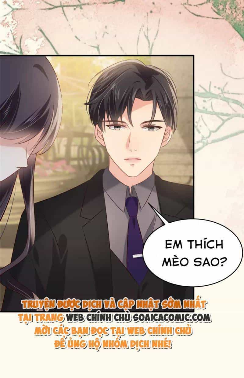 Trọng Sinh Trở Lại: Sủng Nịch Độc Nhất Vô Nhị - Chương 226 - ảnh 21