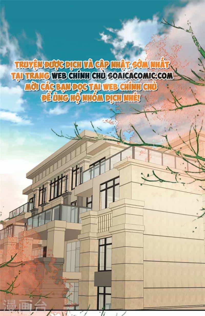 Trọng Sinh Trở Lại: Sủng Nịch Độc Nhất Vô Nhị - Chương 237 - ảnh 11