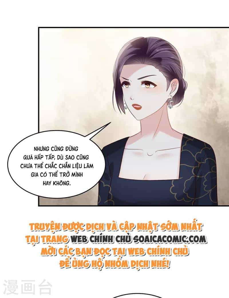 Trọng Sinh Trở Lại: Sủng Nịch Độc Nhất Vô Nhị - Chương 238 - ảnh 13