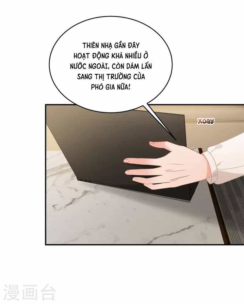 Trọng Sinh Trở Lại: Sủng Nịch Độc Nhất Vô Nhị - Chương 238 - ảnh 4