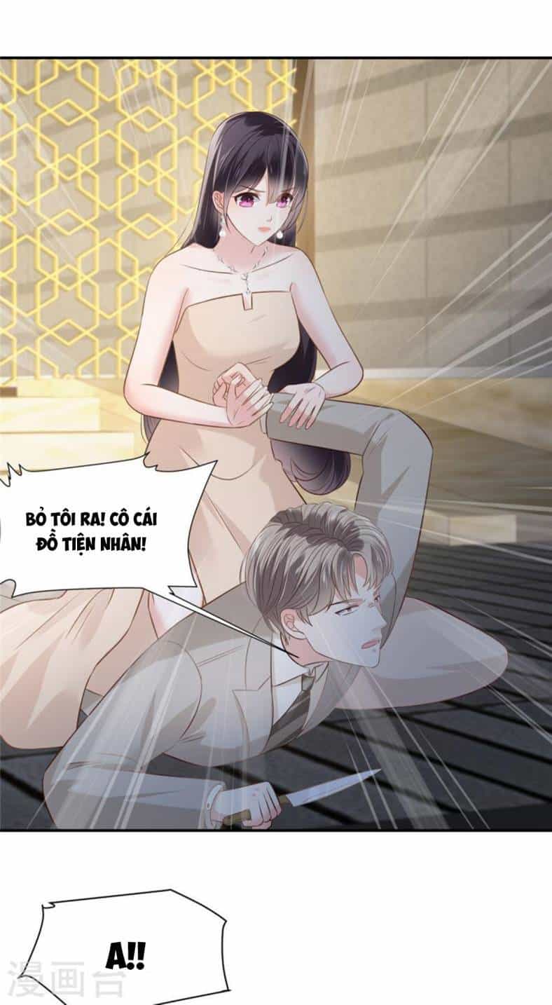 Trọng Sinh Trở Lại: Sủng Nịch Độc Nhất Vô Nhị - Chương 255 - ảnh 17