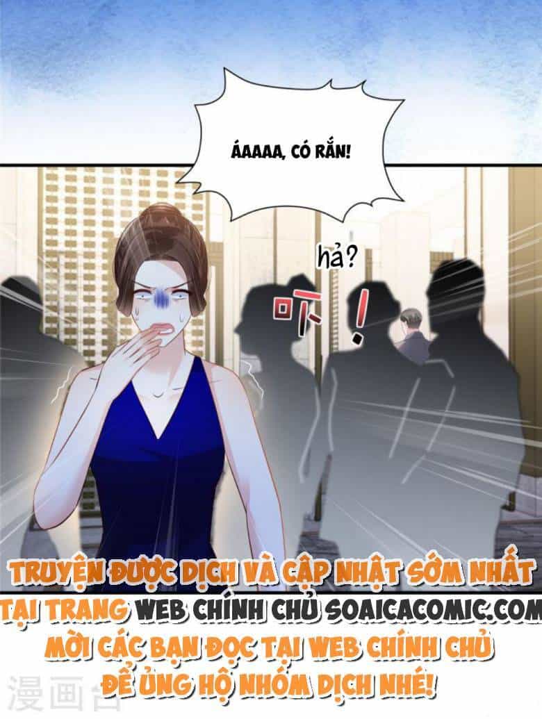 Trọng Sinh Trở Lại: Sủng Nịch Độc Nhất Vô Nhị - Chương 264 - ảnh 17
