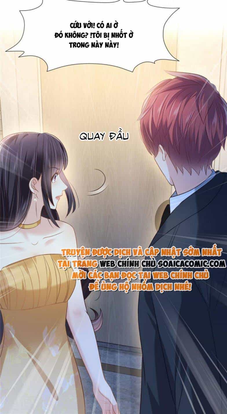 Trọng Sinh Trở Lại: Sủng Nịch Độc Nhất Vô Nhị - Chương 267 - ảnh 11