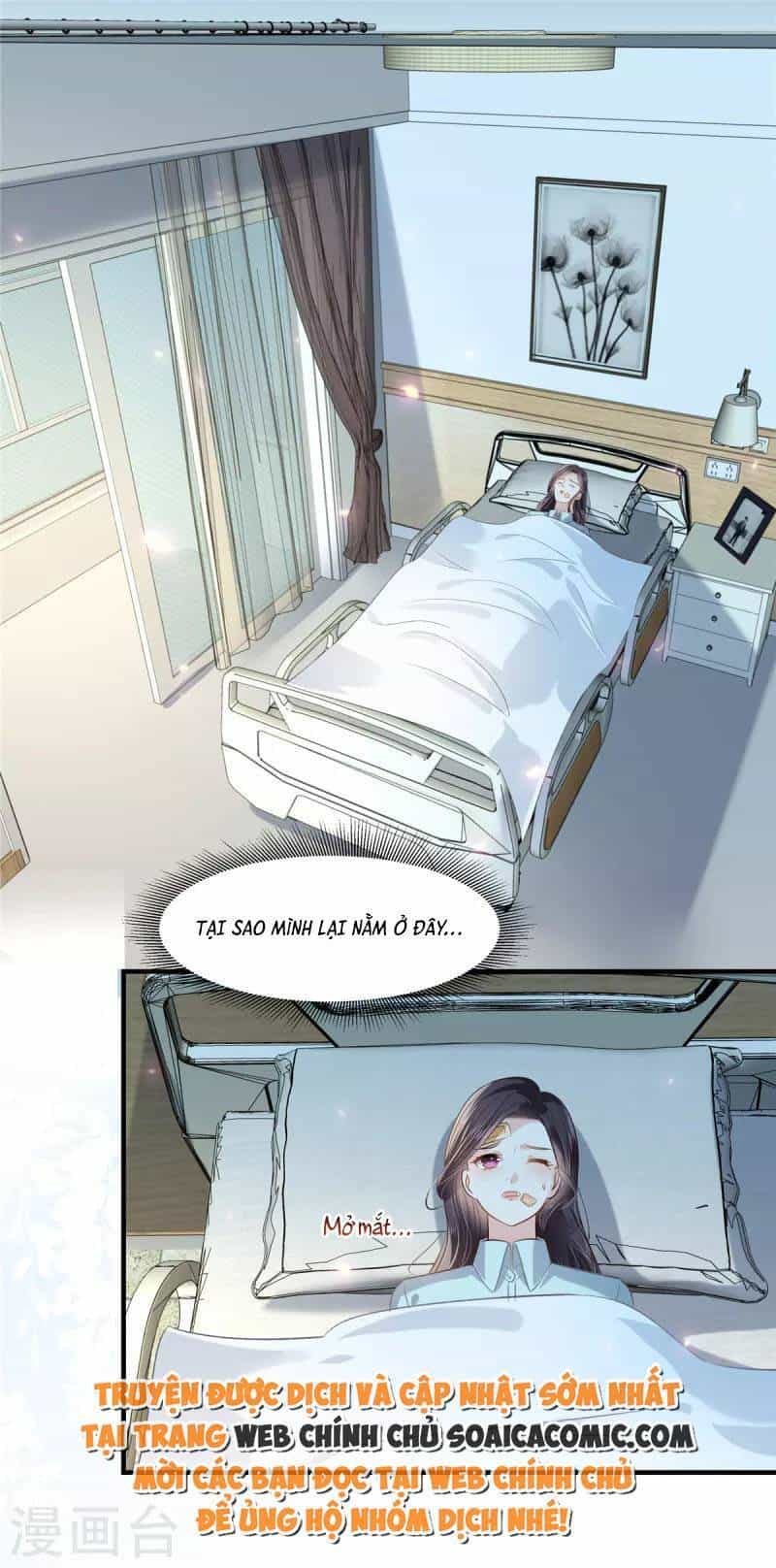 Trọng Sinh Trở Lại: Sủng Nịch Độc Nhất Vô Nhị - Chương 276 - ảnh 15