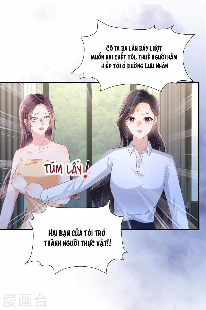 Trọng Sinh Trở Lại: Sủng Nịch Độc Nhất Vô Nhị - Chương 279 - ảnh 17