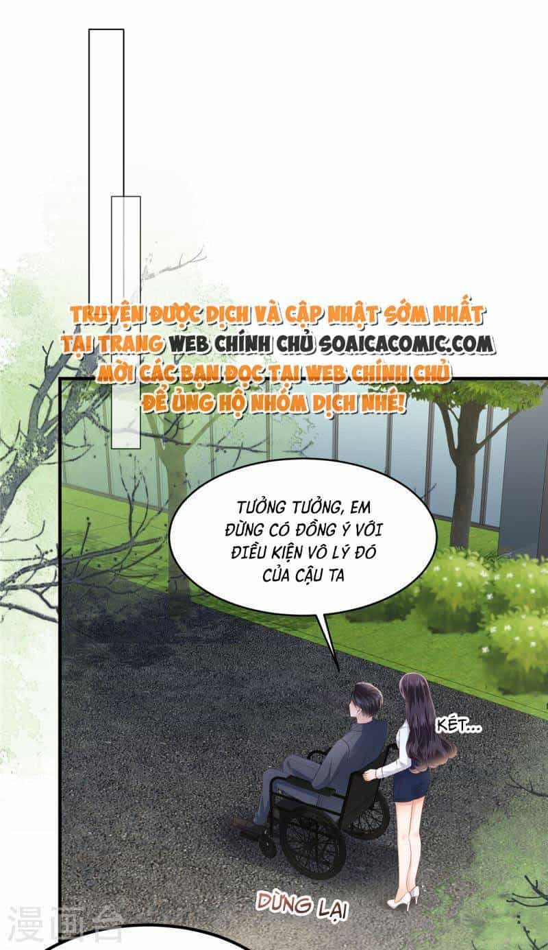 Trọng Sinh Trở Lại: Sủng Nịch Độc Nhất Vô Nhị - Chương 279 - ảnh 5