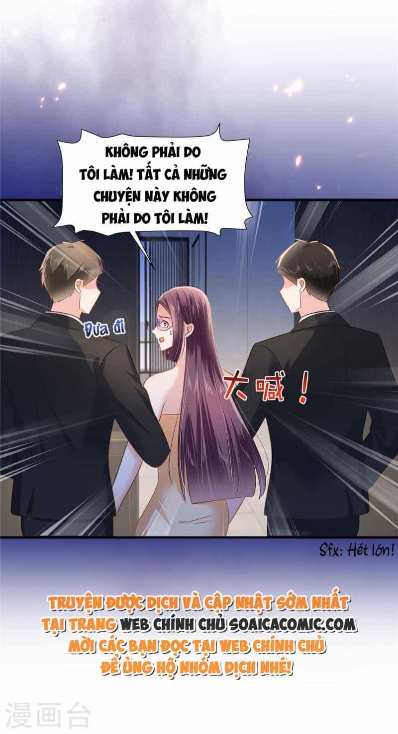 Trọng Sinh Trở Lại: Sủng Nịch Độc Nhất Vô Nhị - Chương 280 - ảnh 8