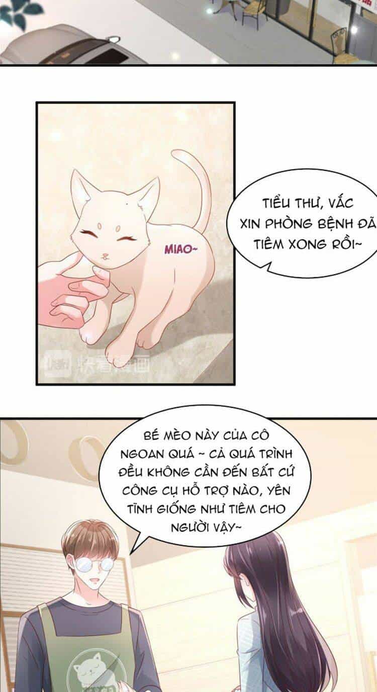 Trọng Sinh Trở Lại: Sủng Nịch Độc Nhất Vô Nhị - Chương 67 - ảnh 14