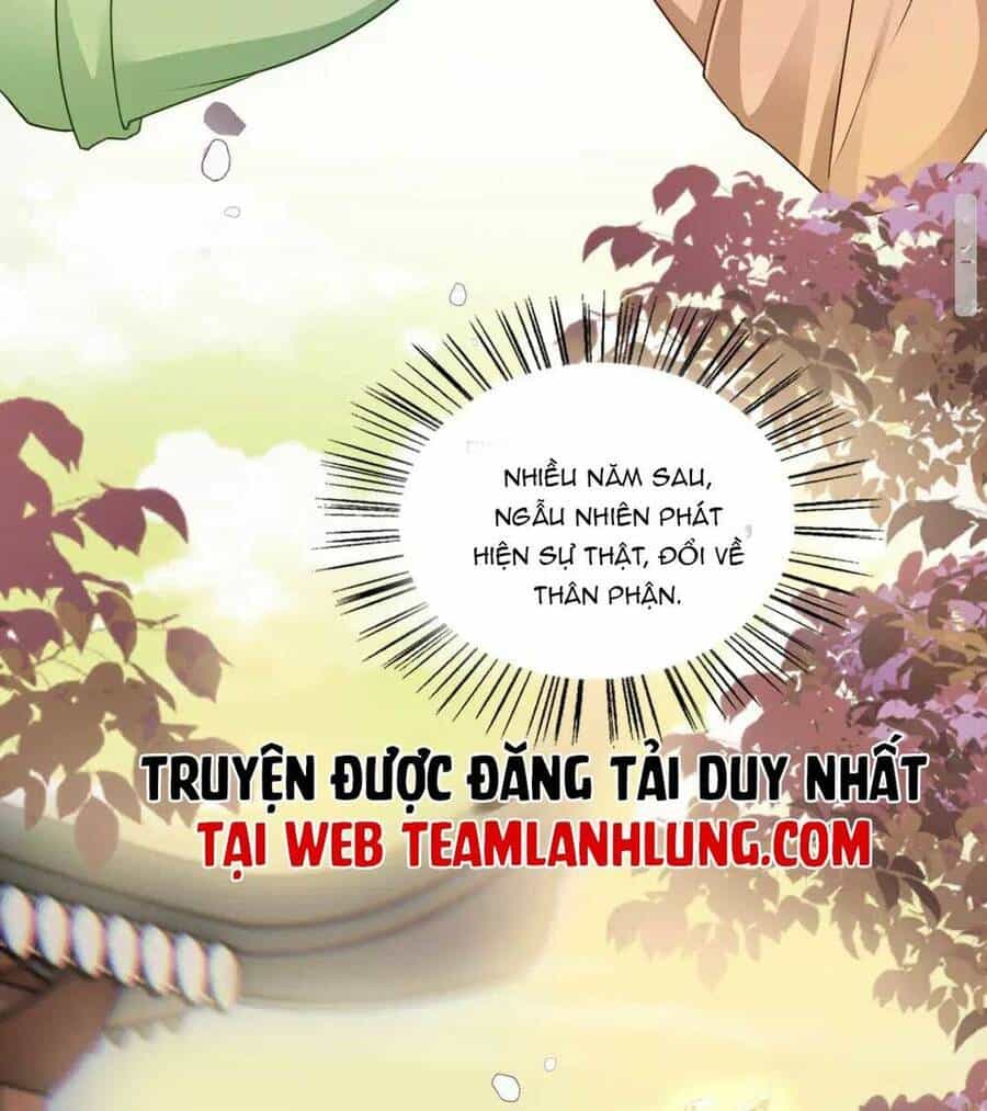 Trọng Sinh Trở Lại ! Ta Nhất Định Sẽ Bảo Vệ Nàng Chu Toàn ! - Chương 2 - ảnh 29