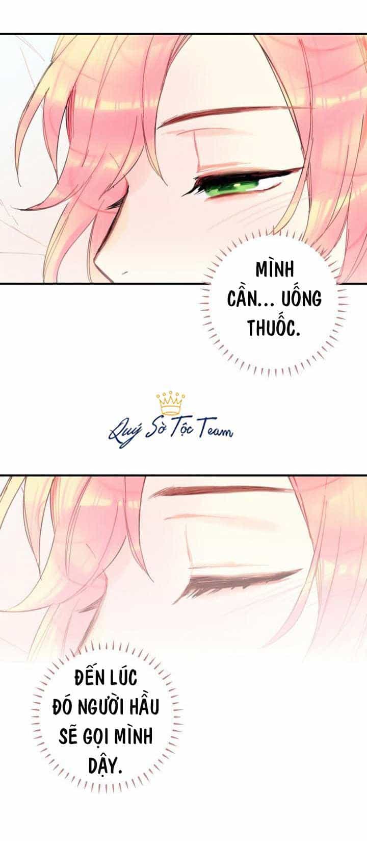 Trọng Sinh Trở Thành Hoàng Phi - Chương 2 - ảnh 17