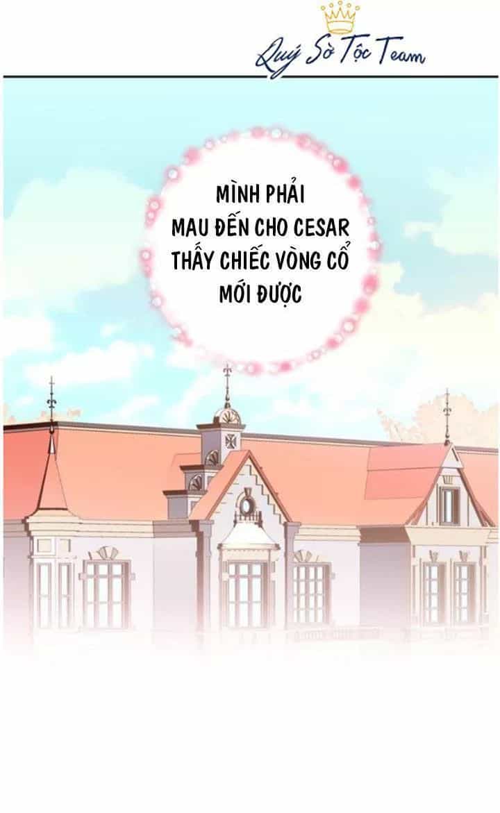 Trọng Sinh Trở Thành Hoàng Phi - Chương 65 - ảnh 7