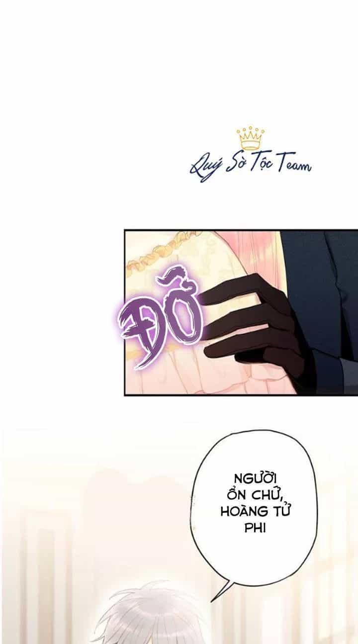 Trọng Sinh Trở Thành Hoàng Phi - Chương 69 - ảnh 19