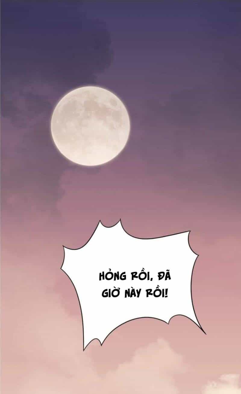 Trực Nam Tiểu Kiều Phi Của Vương Phủ - Chương 26 - ảnh 56