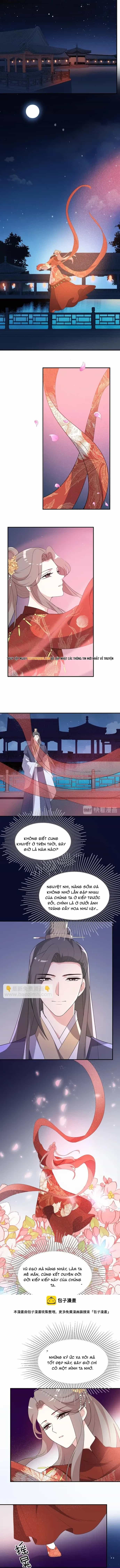 Trùng Sinh Chuyên Sủng Độc Phi Của Nhiếp Chính Vương - Chương 107 - ảnh 3