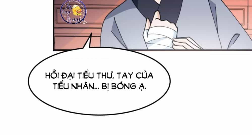 Trùng Sinh Chuyên Sủng Độc Phi Của Nhiếp Chính Vương - Chương 22 - ảnh 22