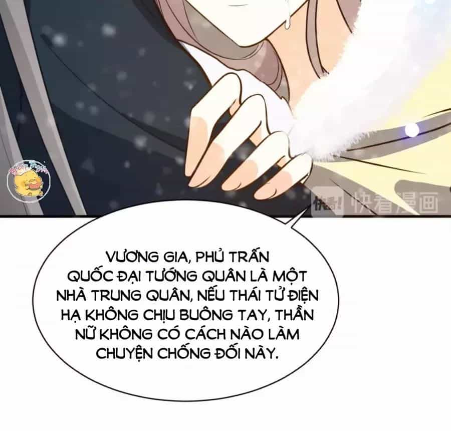 Trùng Sinh Chuyên Sủng Độc Phi Của Nhiếp Chính Vương - Chương 47 - ảnh 21