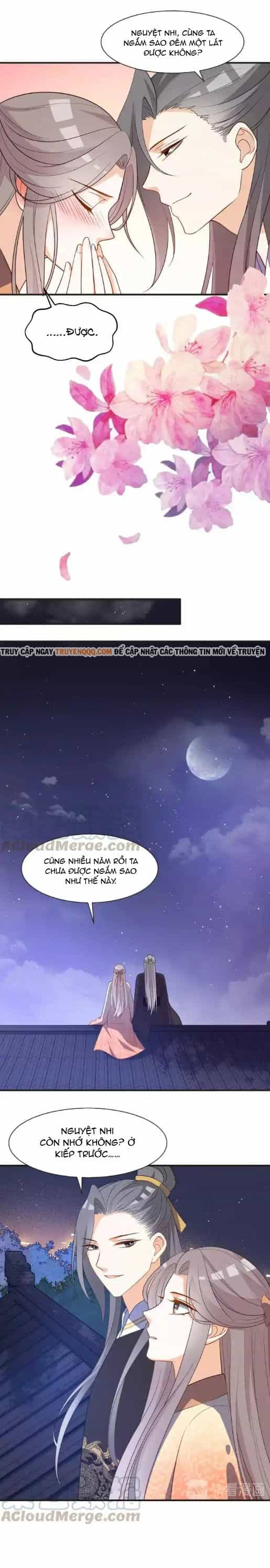 Trùng Sinh Chuyên Sủng Độc Phi Của Nhiếp Chính Vương - Chương 63 - ảnh 4