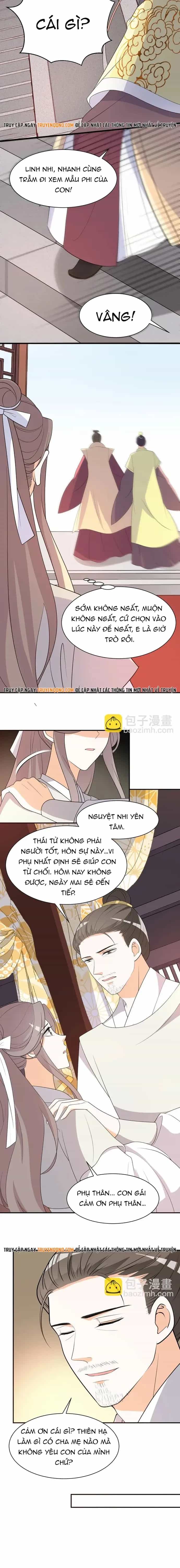 Trùng Sinh Chuyên Sủng Độc Phi Của Nhiếp Chính Vương - Chương 92 - ảnh 6