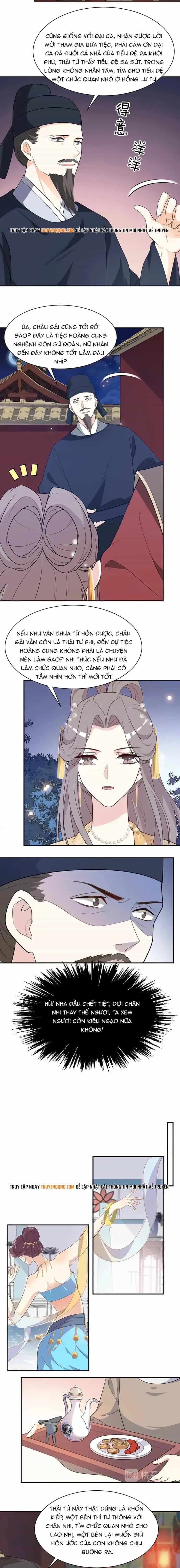 Trùng Sinh Chuyên Sủng Độc Phi Của Nhiếp Chính Vương - Chương 95 - ảnh 3