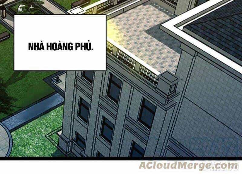 Trùng Sinh Đô Thị Thiên Tôn - Chương 289 - ảnh 11