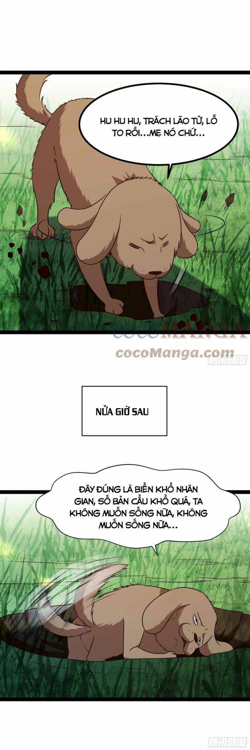 Trùng Sinh Đô Thị Thiên Tôn - Chương 298 - ảnh 2