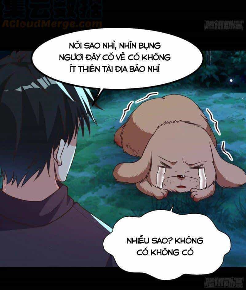 Trùng Sinh Đô Thị Thiên Tôn - Chương 308 - ảnh 7