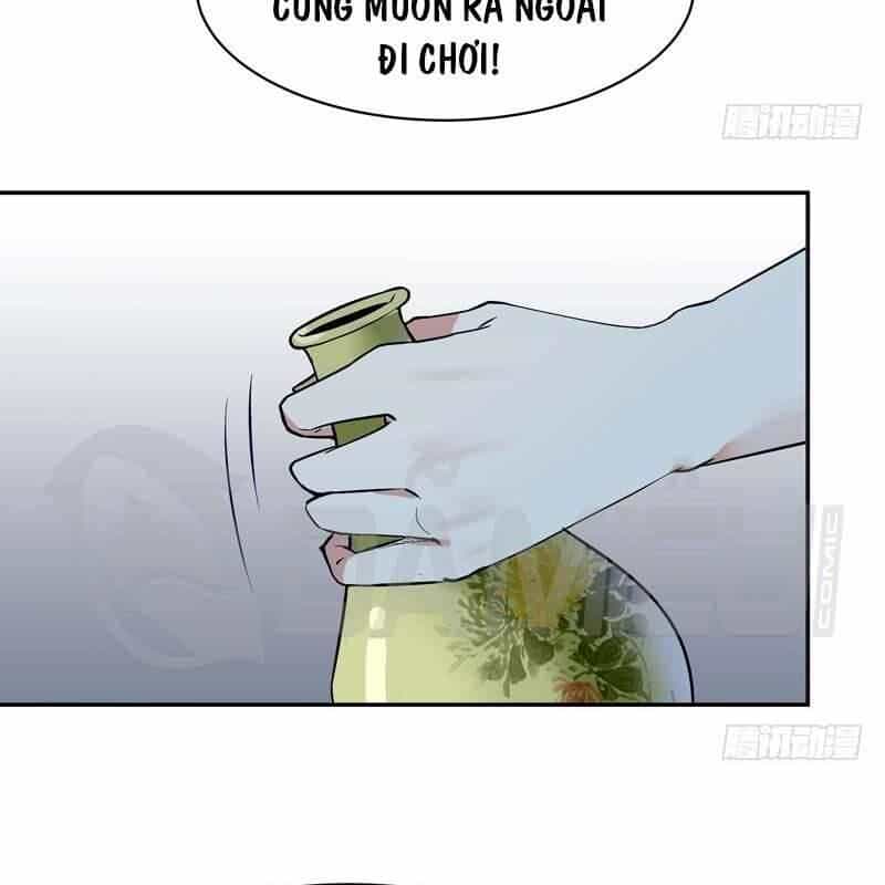 Trùng Sinh Đô Thị Thiên Tôn - Chương 37 - ảnh 29